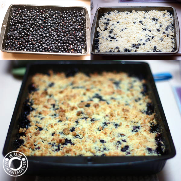 Blueberry Squares | Je suis alimentageuse