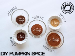 DIY Pumpkin Spice | alimentageuse.com #pumpkin #fall #DIY
