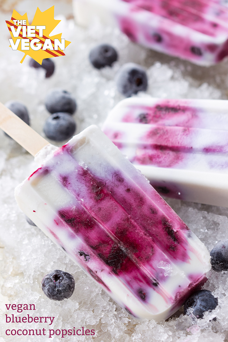 Vegan Blueberry Coconut Popsicles | The Viet Vegan | Creamy, cool, and full of blueberry flavour