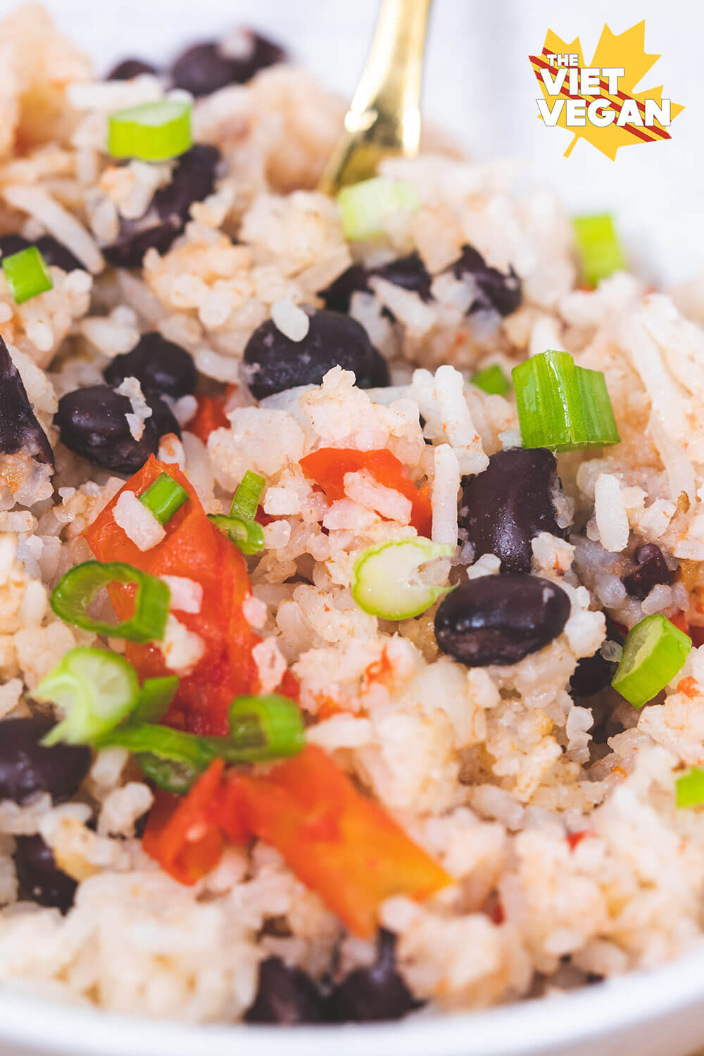 Lazy Rice Cooker Meal - Rice and Beans & Stuff? - The Viet Vegan