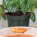 Spaghetti Os in a spoon over a bowl of soup, watermelon peperomia in the background.