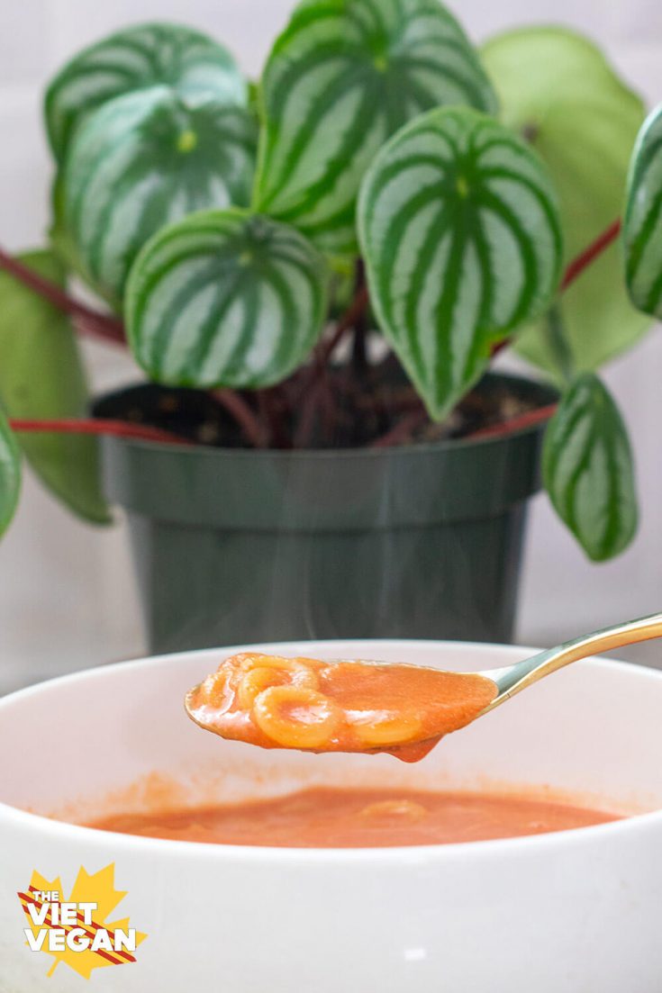 Spaghetti Os in a spoon over a bowl of soup, watermelon peperomia in the background.