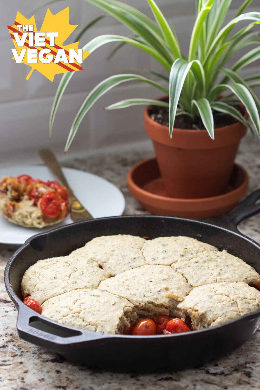 baked cobbler in front of a spider plant