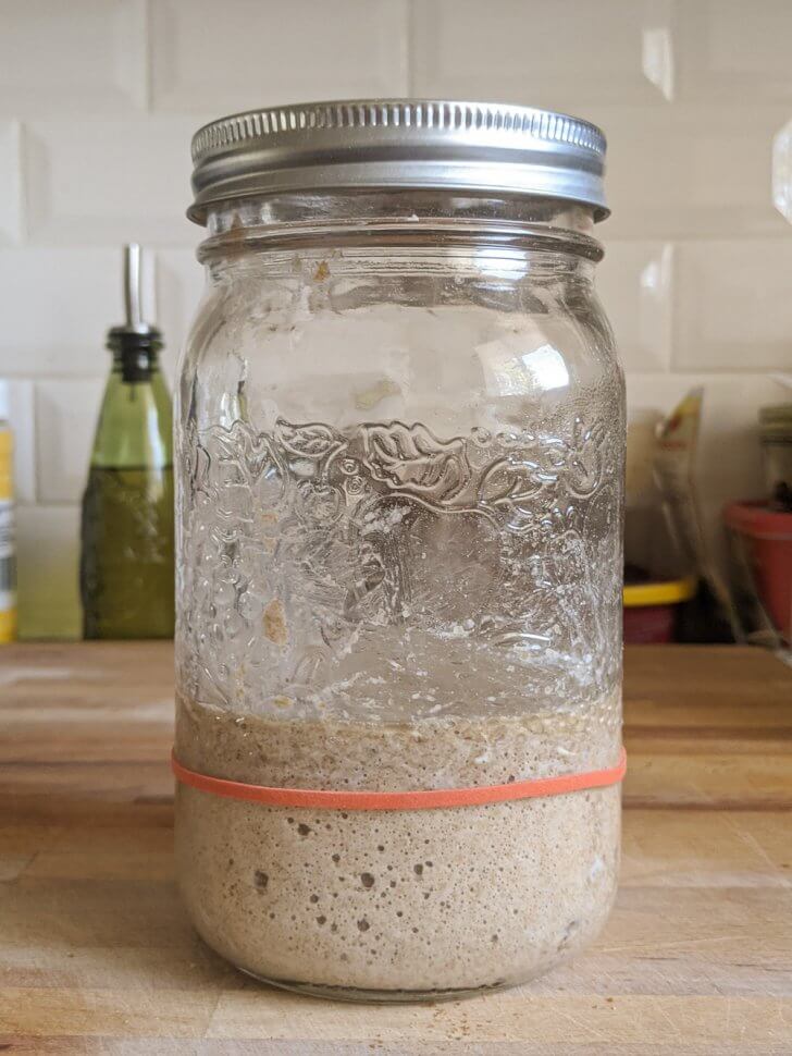 Troubleshooting Sourdough Starter - The Viet Vegan