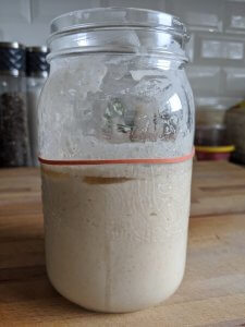sourdough starter in a jar, with liquid on top and a rubber band indicating that the starter did not rise