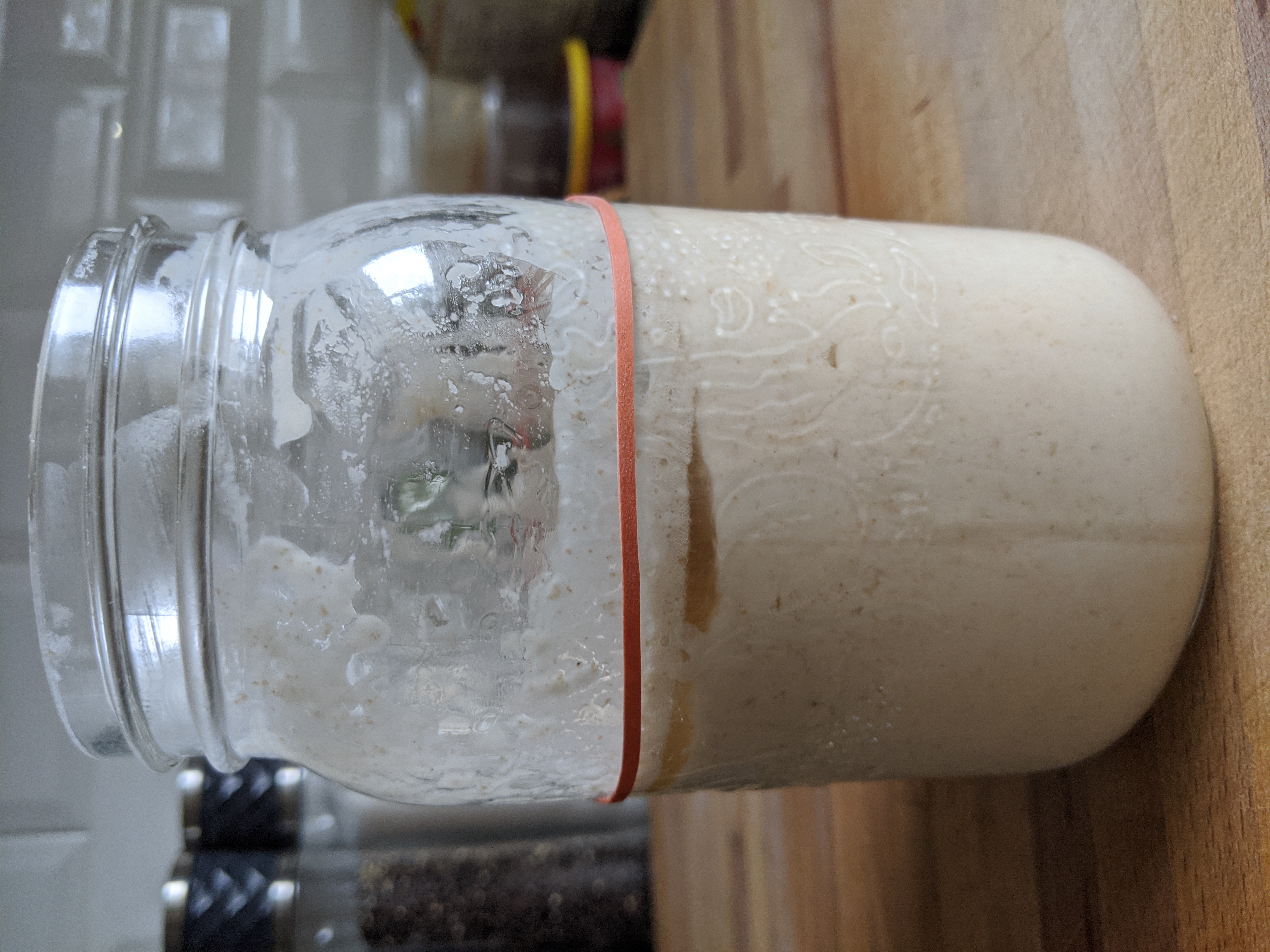 Sourdough Starter