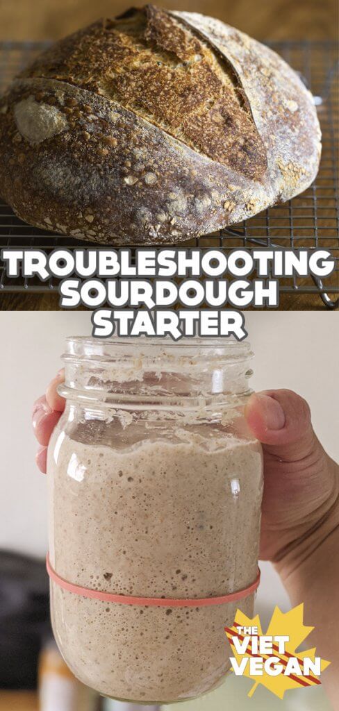 Troubleshooting Sourdough Starter The Viet Vegan