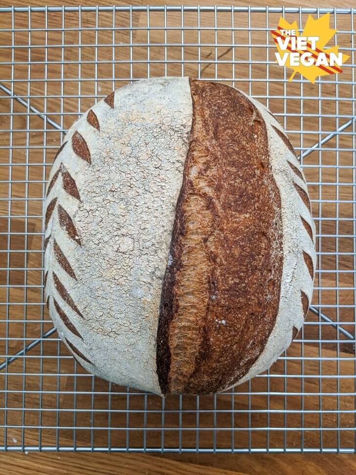 Vegan Sourdough Bread (Beginner-Friendly!) - The Conscientious Eater