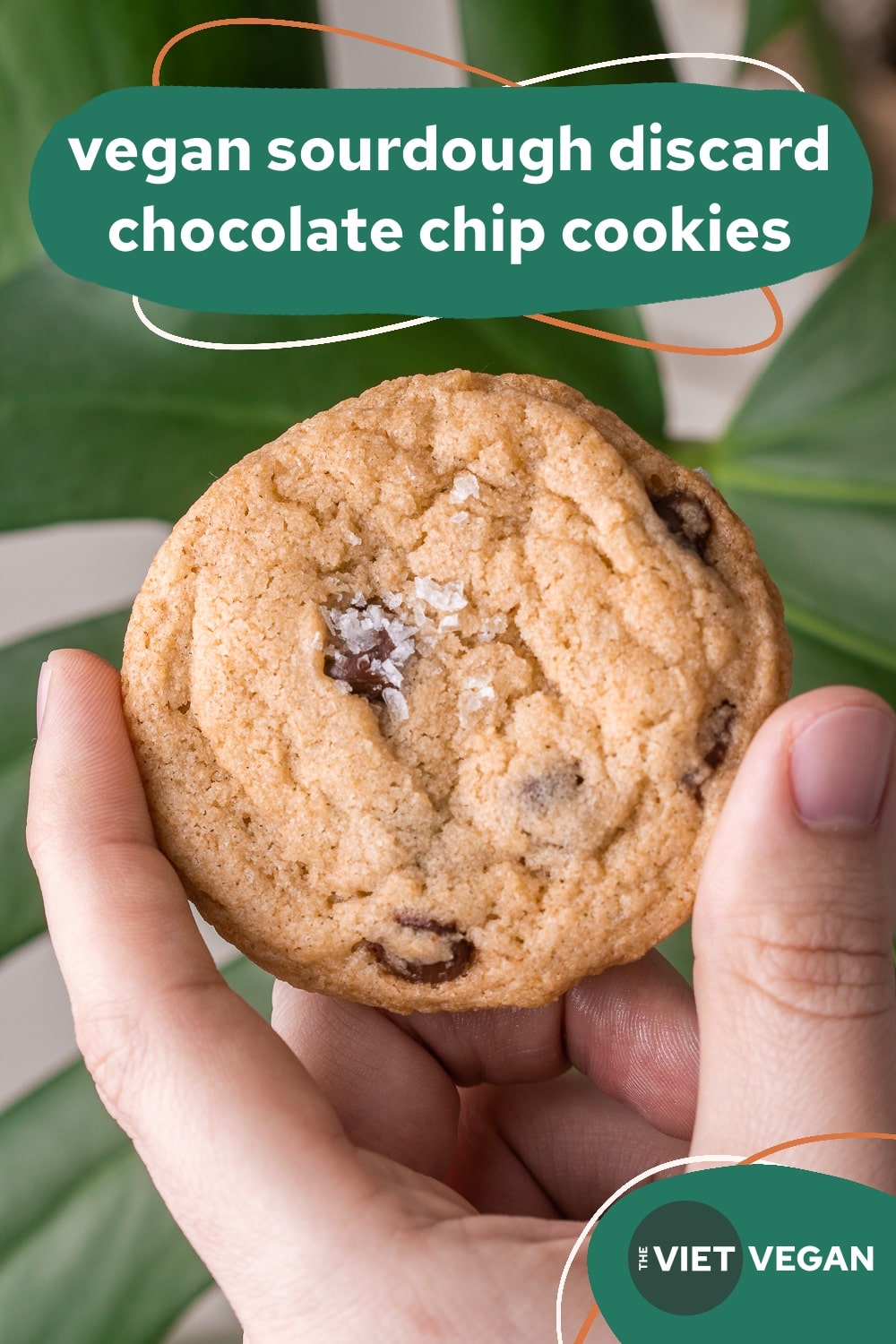 chocolate chip cookie with salt flakes on top, hed in front of a monstera leaf (with text title on top)