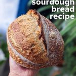 title photo with plain sourdough loaf, held in hand in front of some houseplants