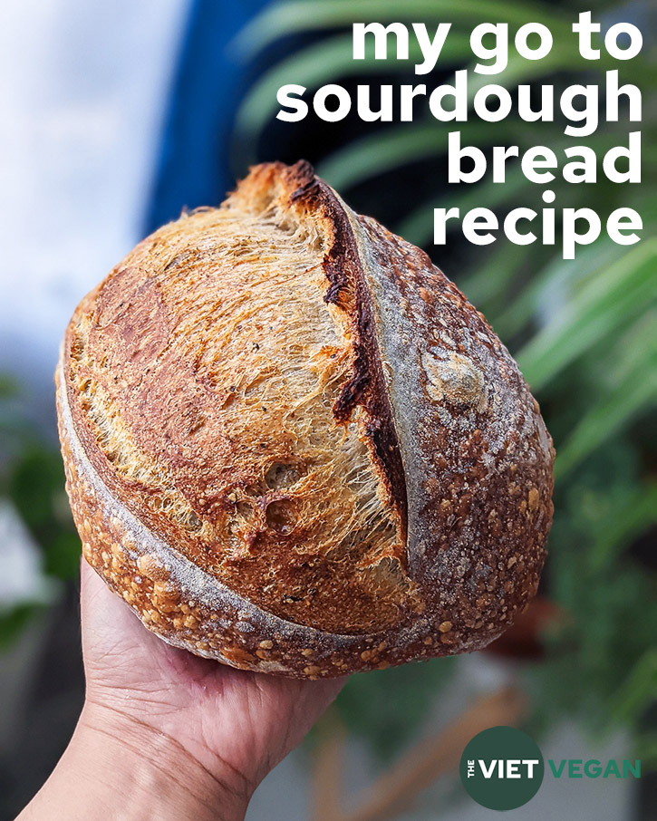 title photo with plain sourdough loaf, held in hand in front of some houseplants