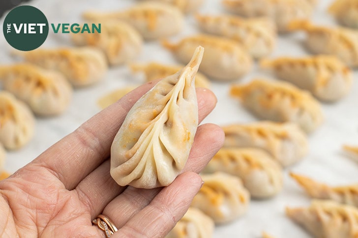 a hand holding up one dumpling, with a tray of folded dumplings blurred in the background