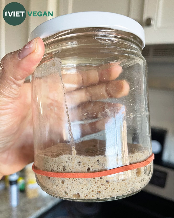 How To Store And Use Sourdough Starter From The Fridge The Viet Vegan