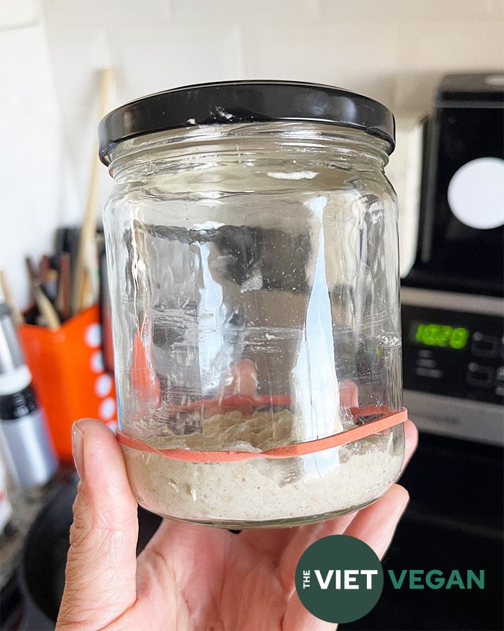 How To Store And Use Sourdough Starter From The Fridge The Viet Vegan